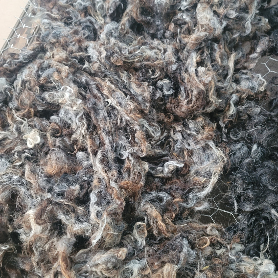 The Larger World of Wool - Vol. 1 August 2024