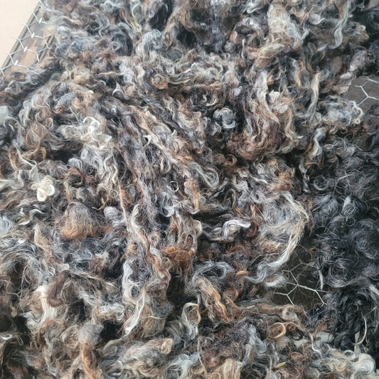 The Larger World of Wool - Vol. 1 August 2024