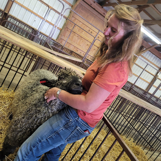Good Shepherdesses Volume 1 - Traci Bultemeier