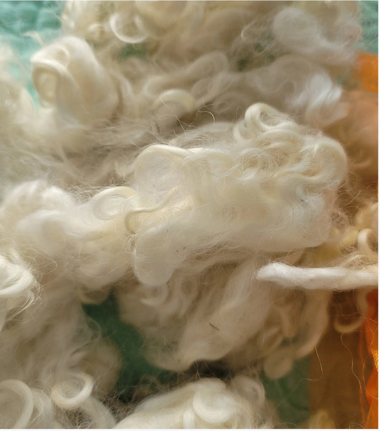 Washed fleece and locks