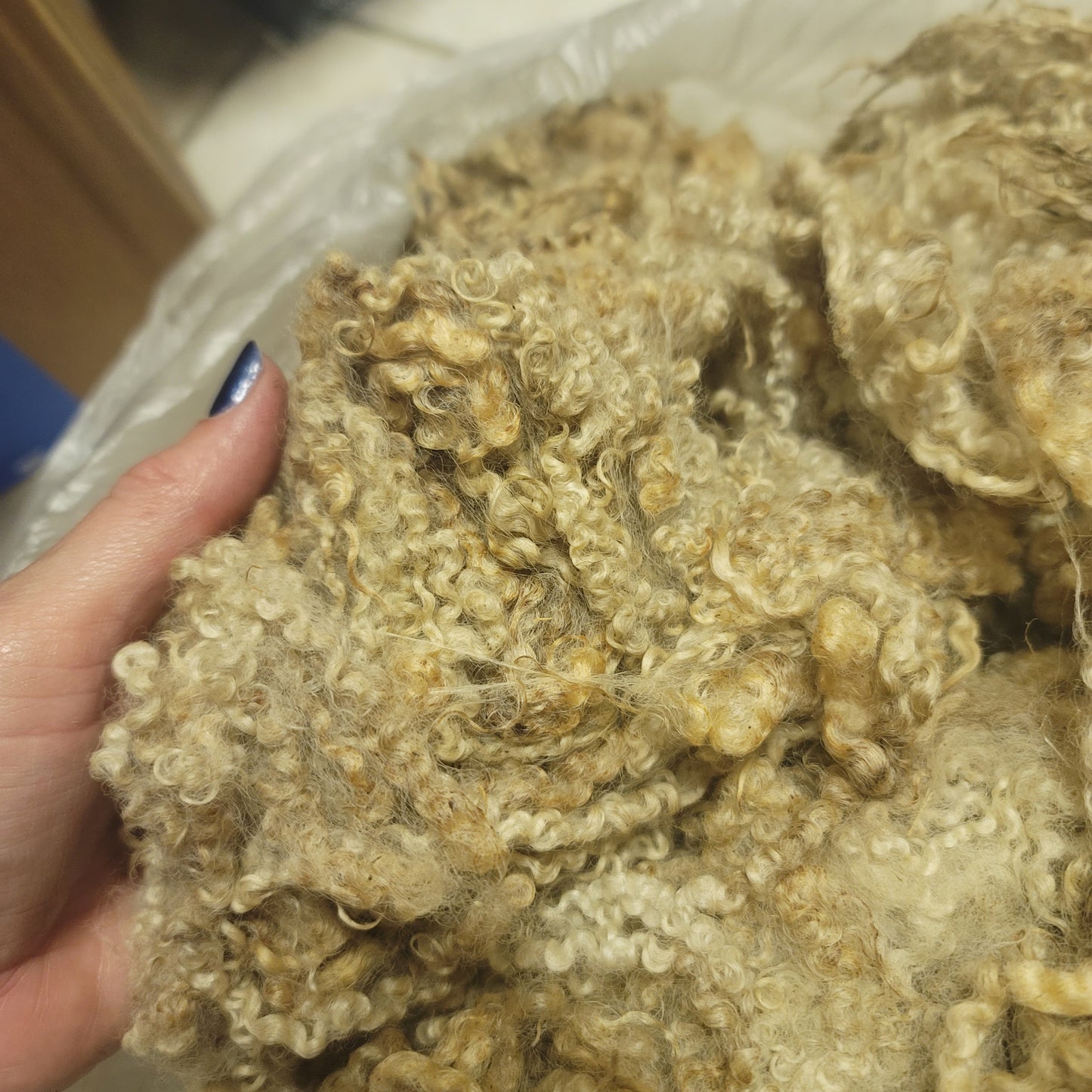BFL Raw Wool
