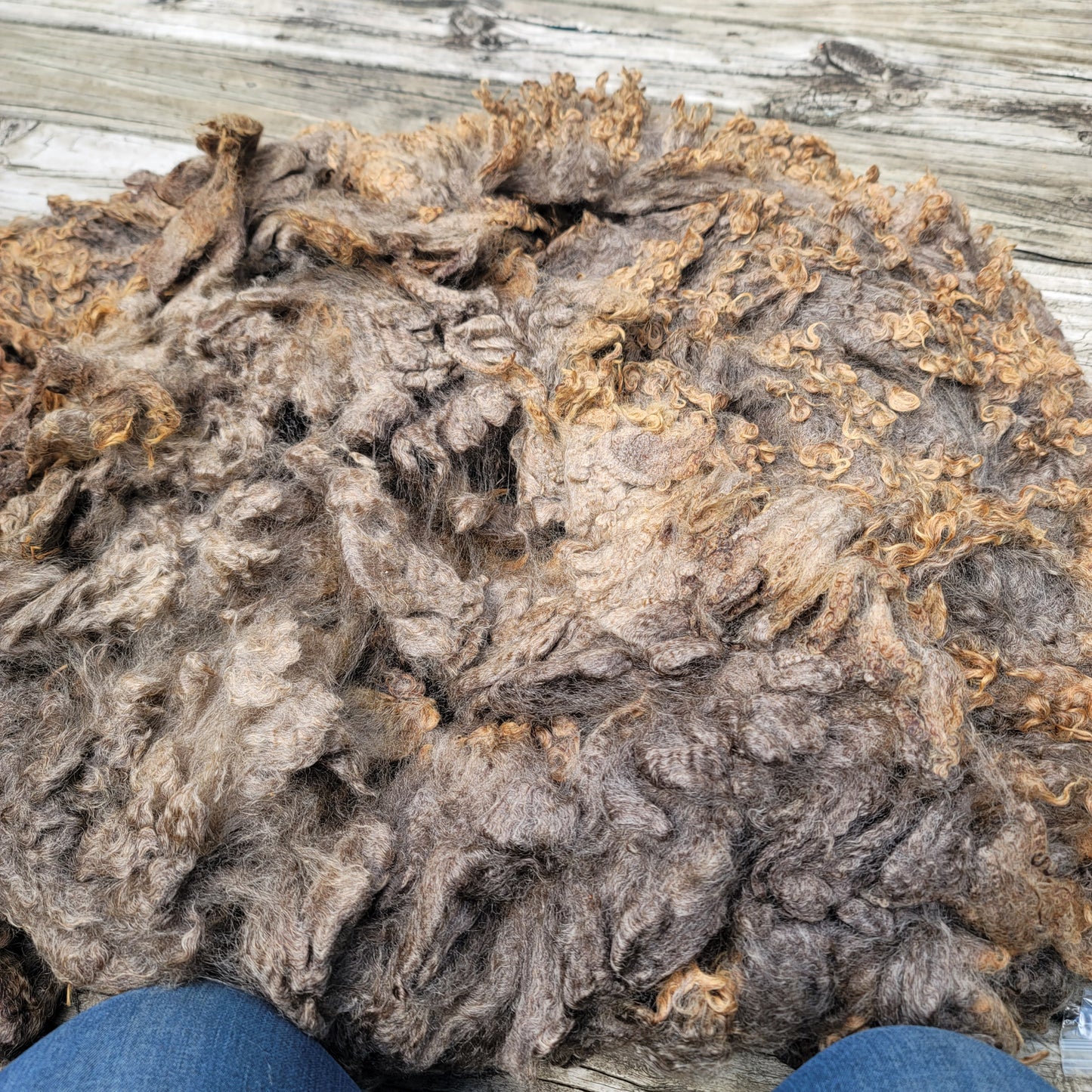 Border Leicester-CVM-Finn-Rambouillet Raw Wool