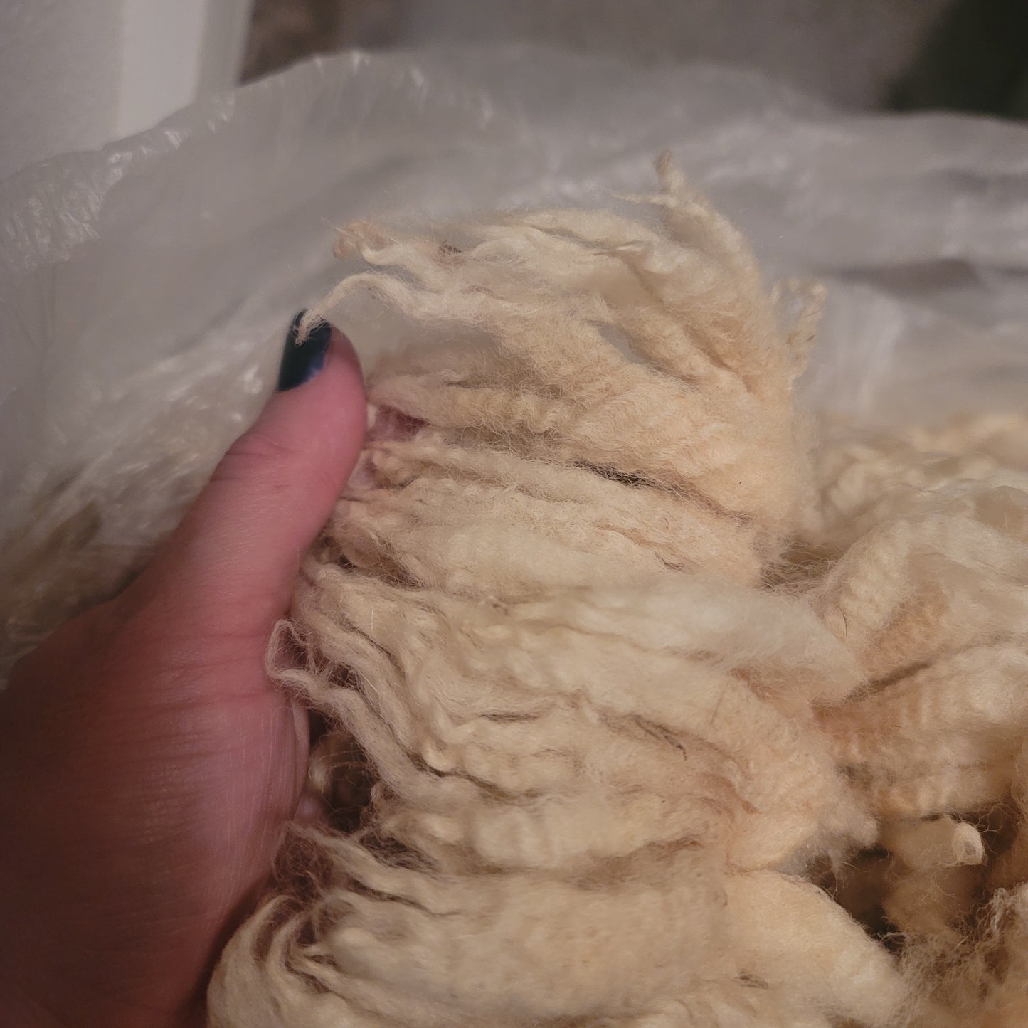 Cheviot Cross Raw Wool