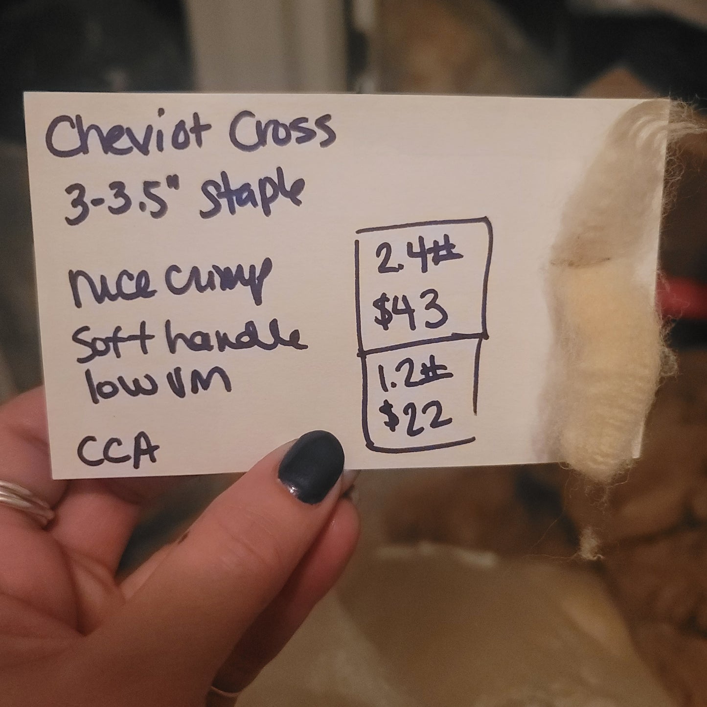 Cheviot Cross Raw Wool