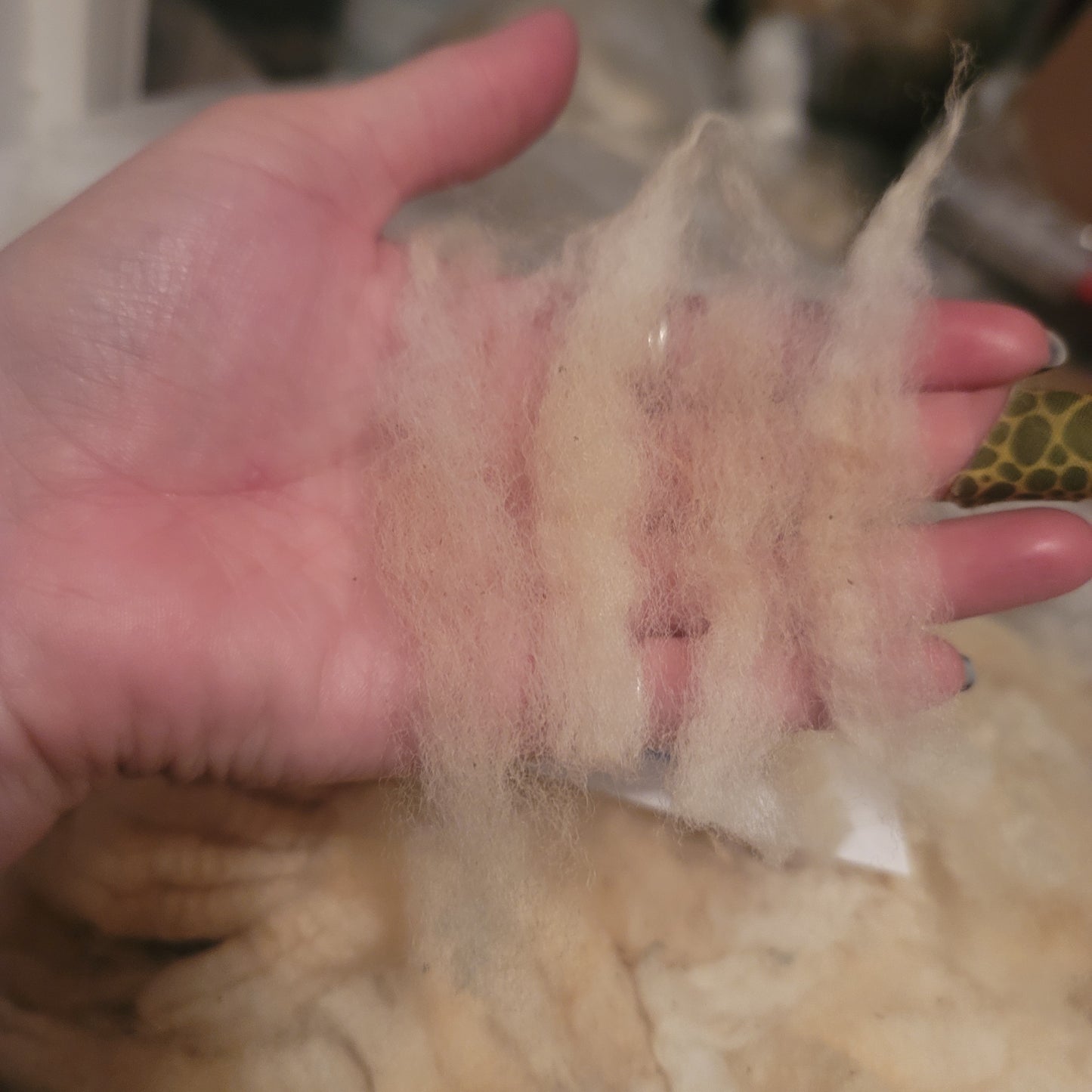 Clun Forest Cross Raw Wool