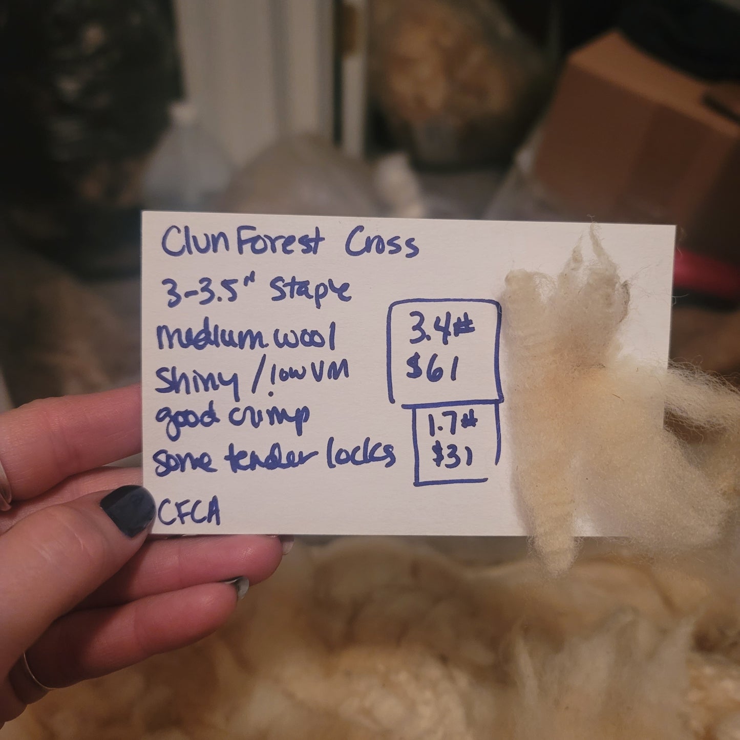 Clun Forest Cross Raw Wool