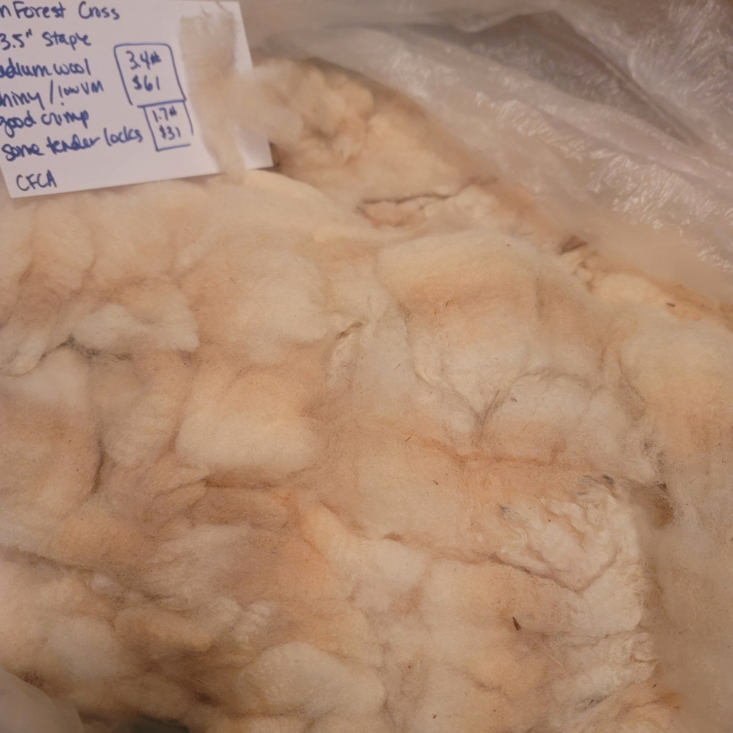 Clun Forest Cross Raw Wool