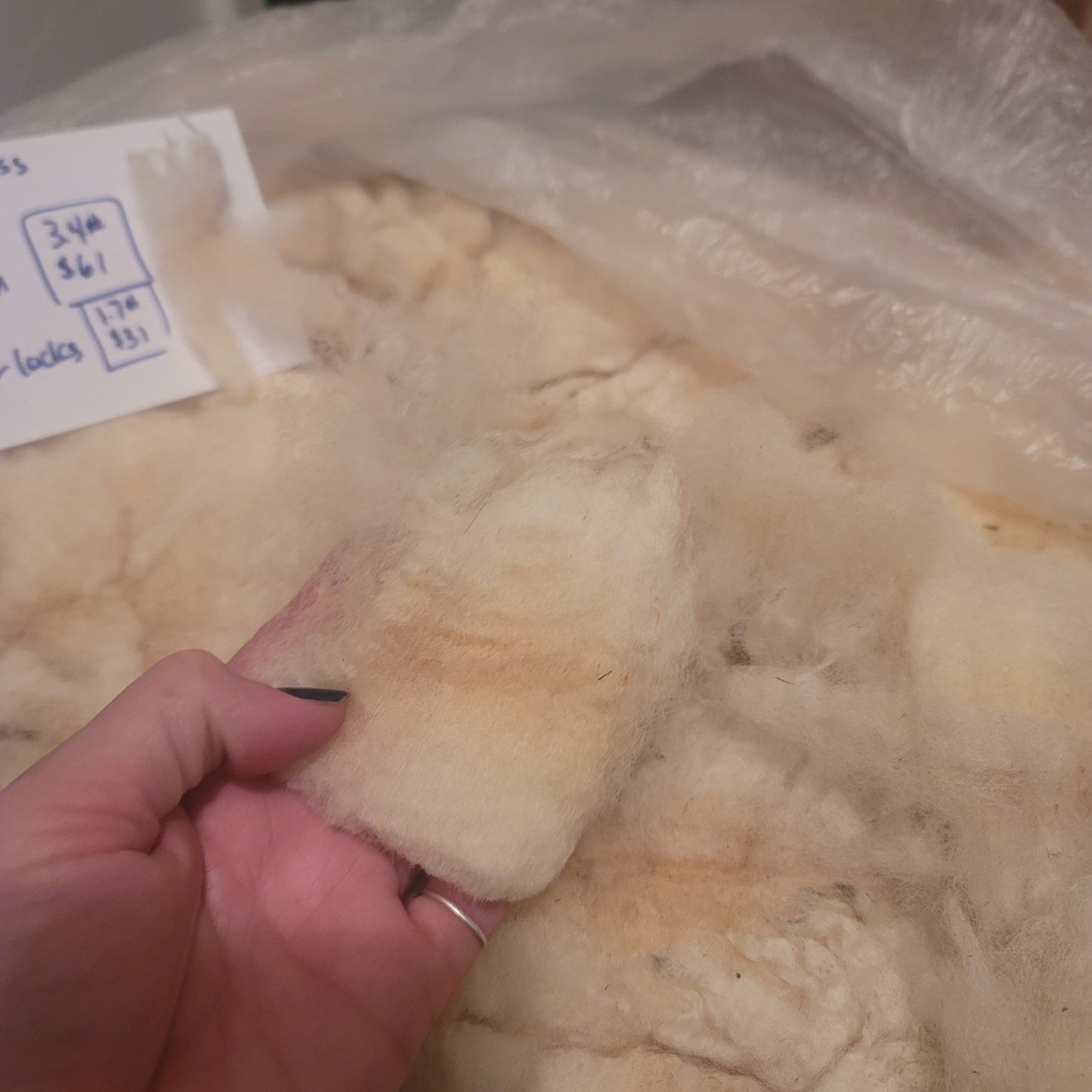 Clun Forest Cross Raw Wool