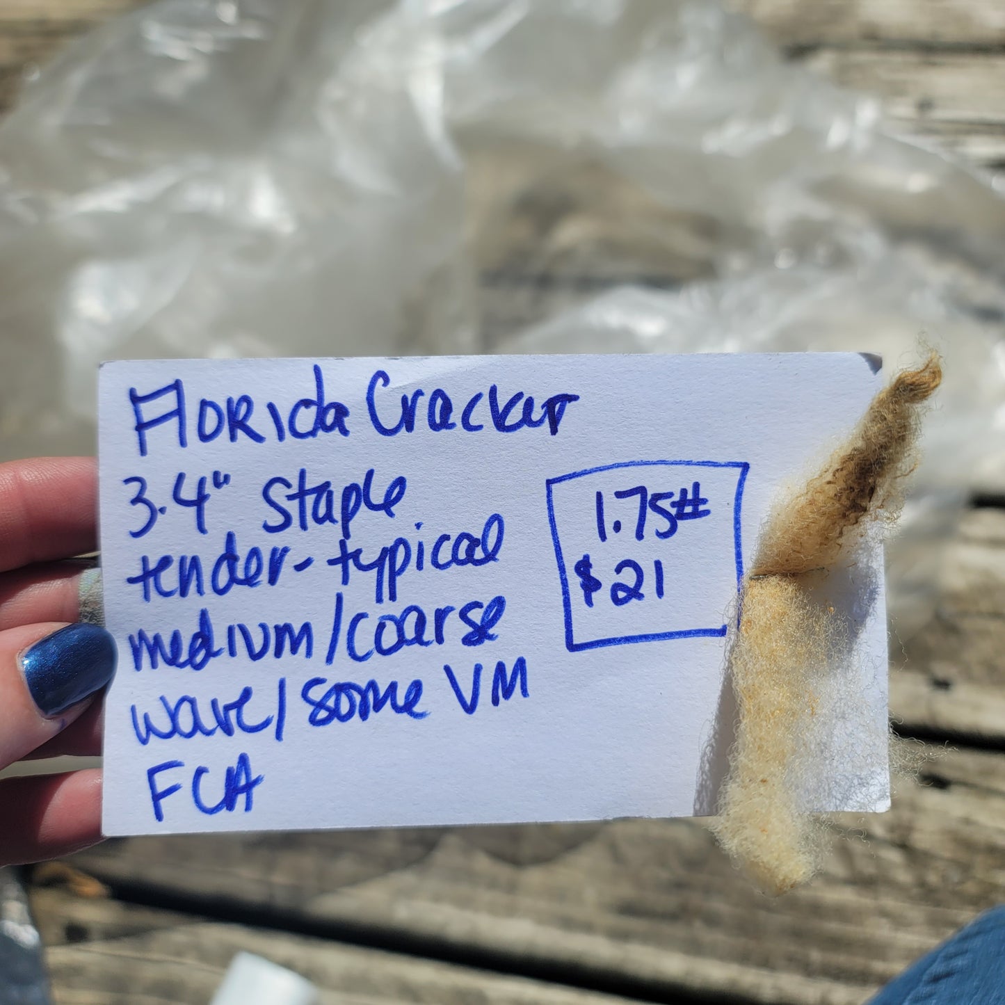 Florida Cracker Raw Wool