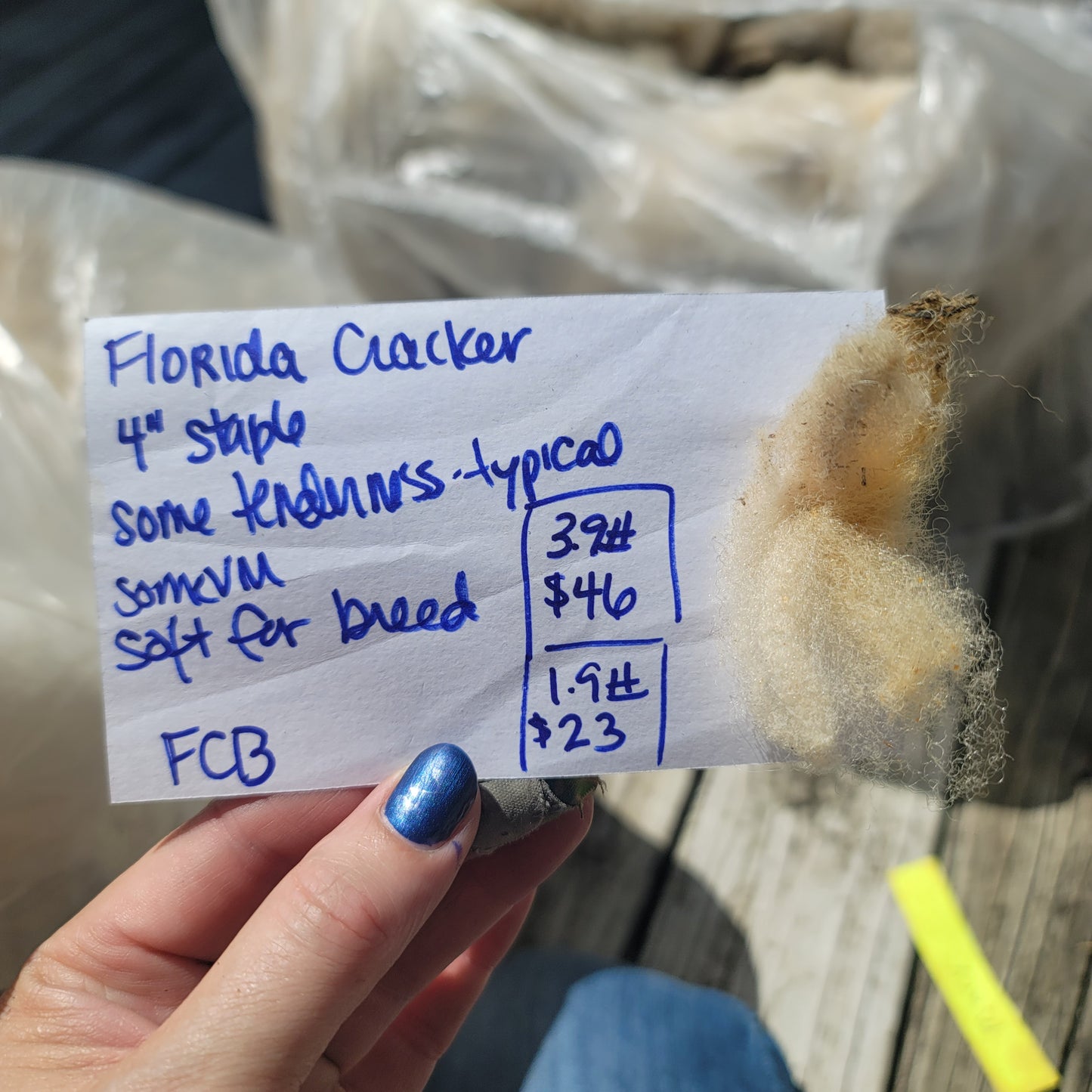 Florida Cracker Raw Wool