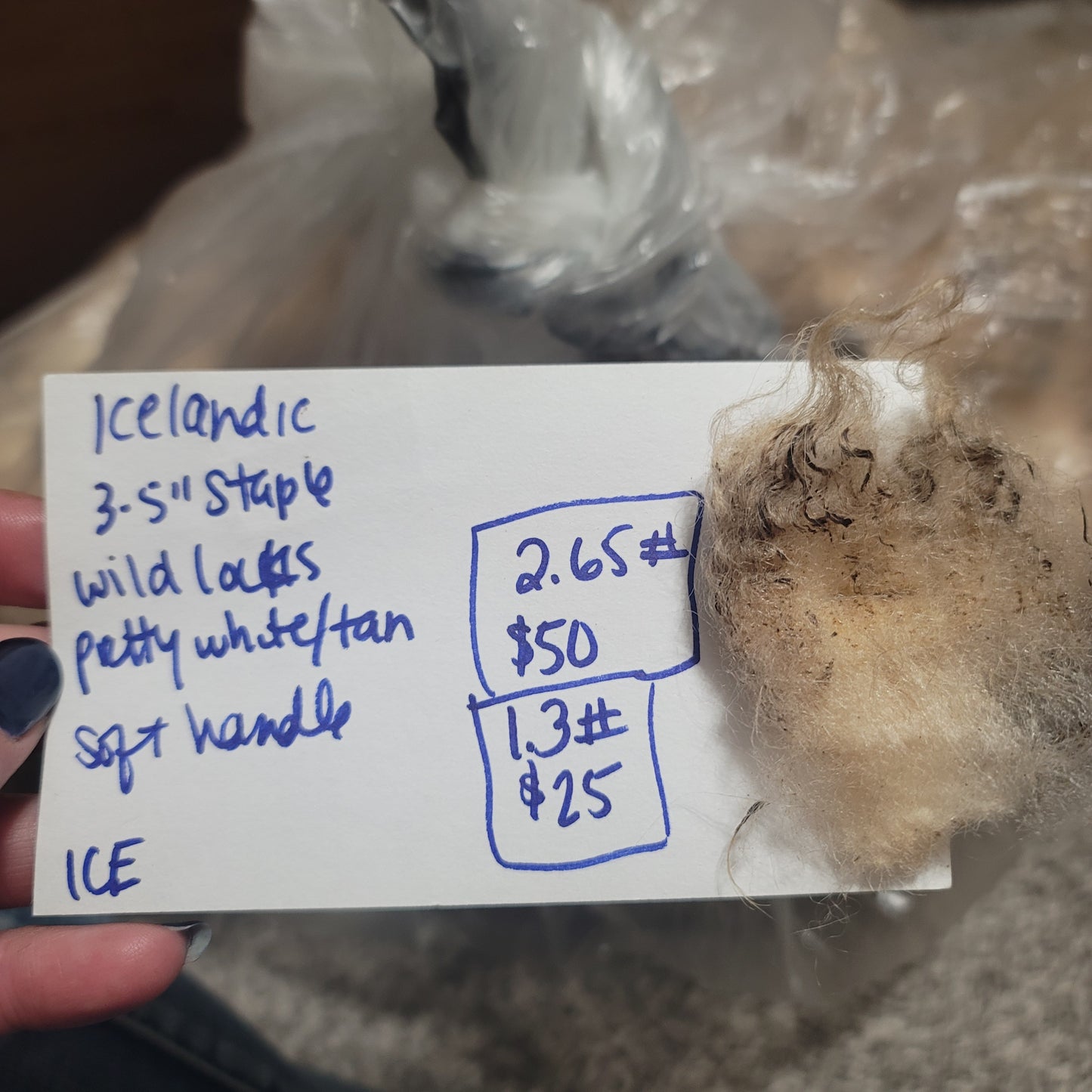 Icelandic Raw Wool