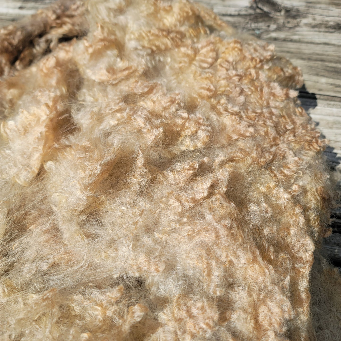 Lincoln Longwool Raw Wool