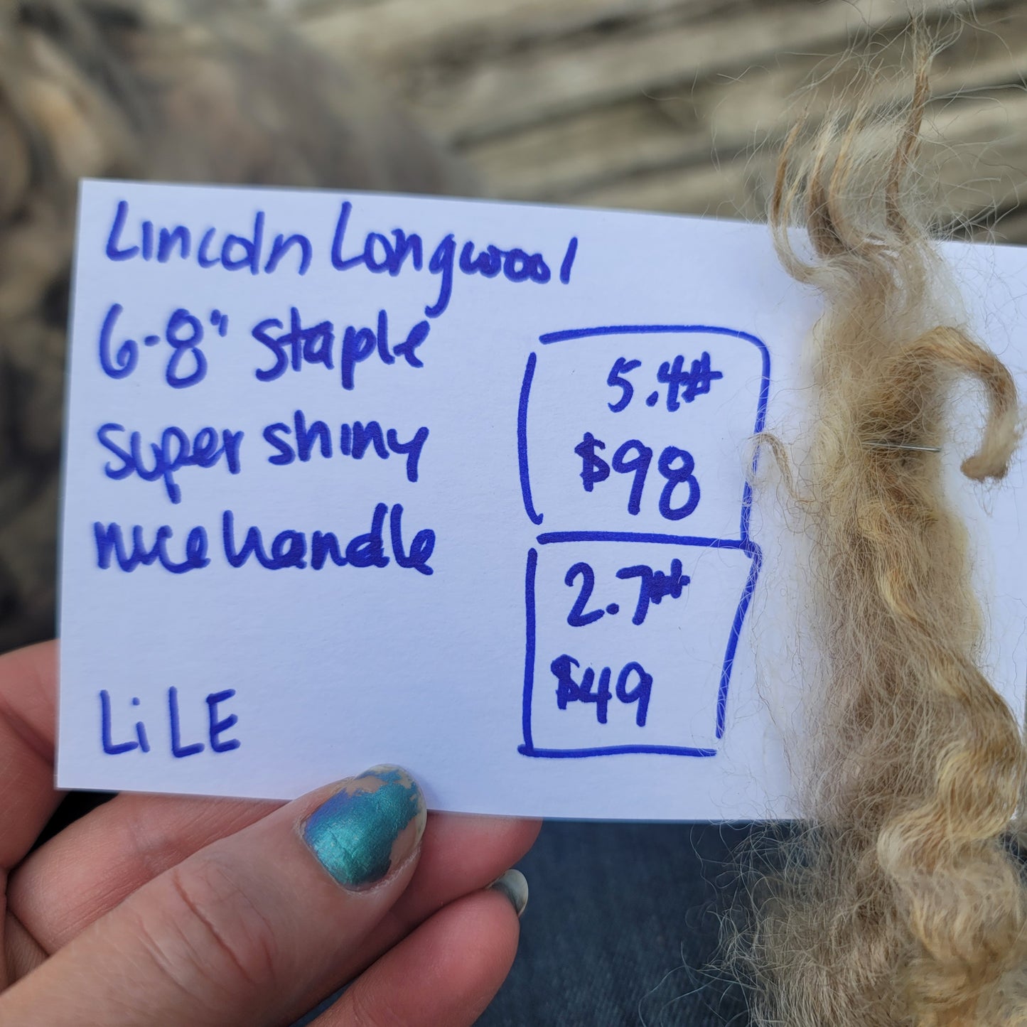 Lincoln Longwool Raw Wool