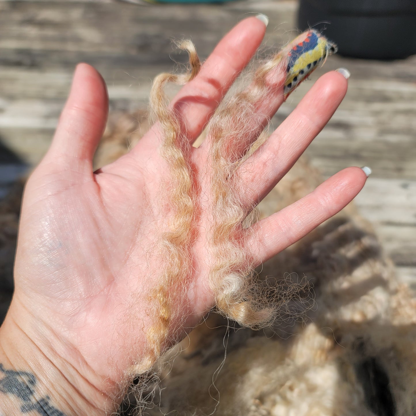 Lincoln Longwool Raw Wool