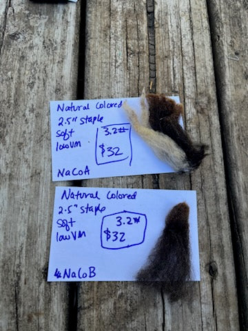 Natural Colored Raw Wool