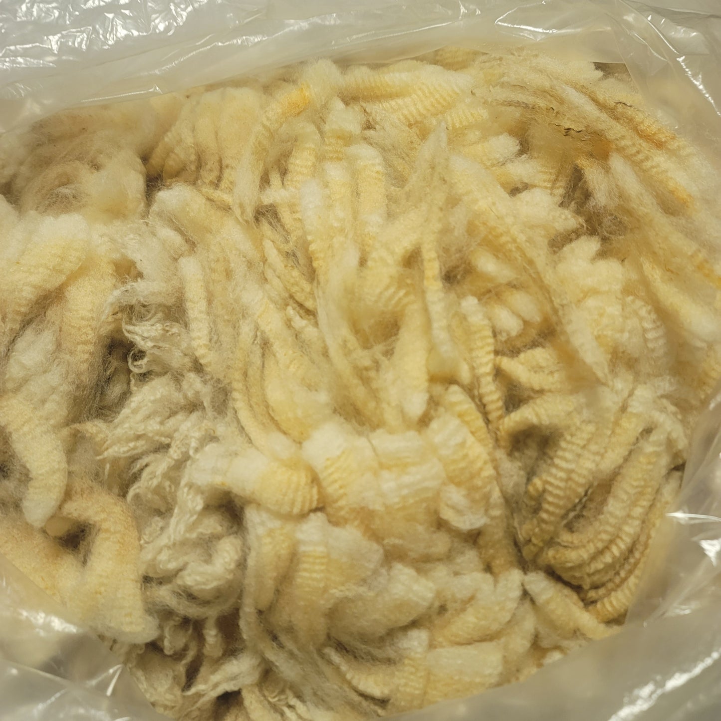 Perendale Raw Wool