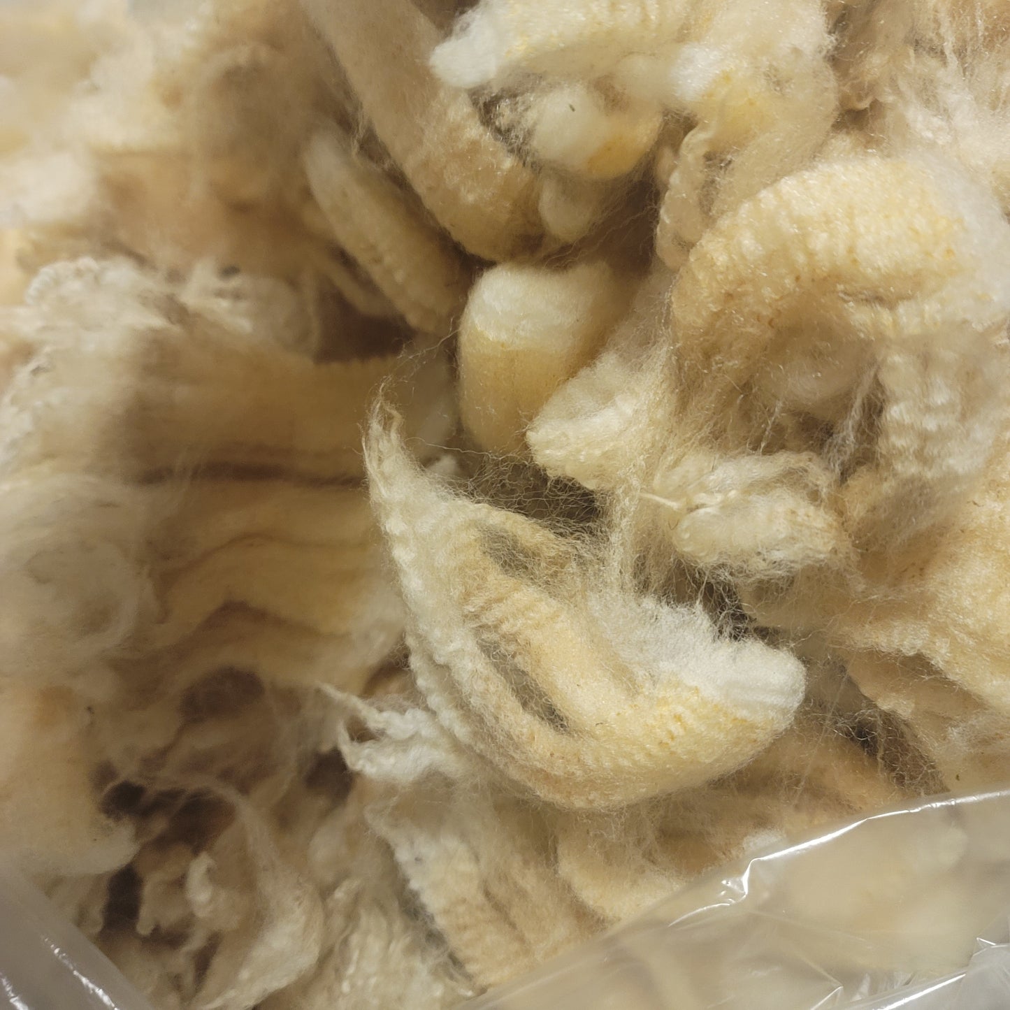 Perendale Raw Wool