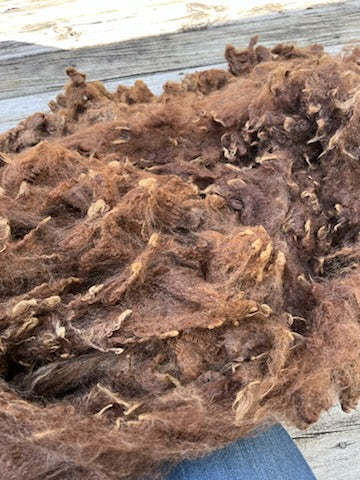 Romney Raw Wool
