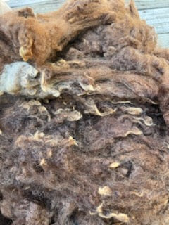 Romney Raw Wool