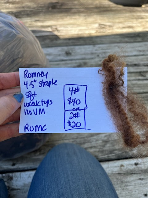 Romney Raw Wool