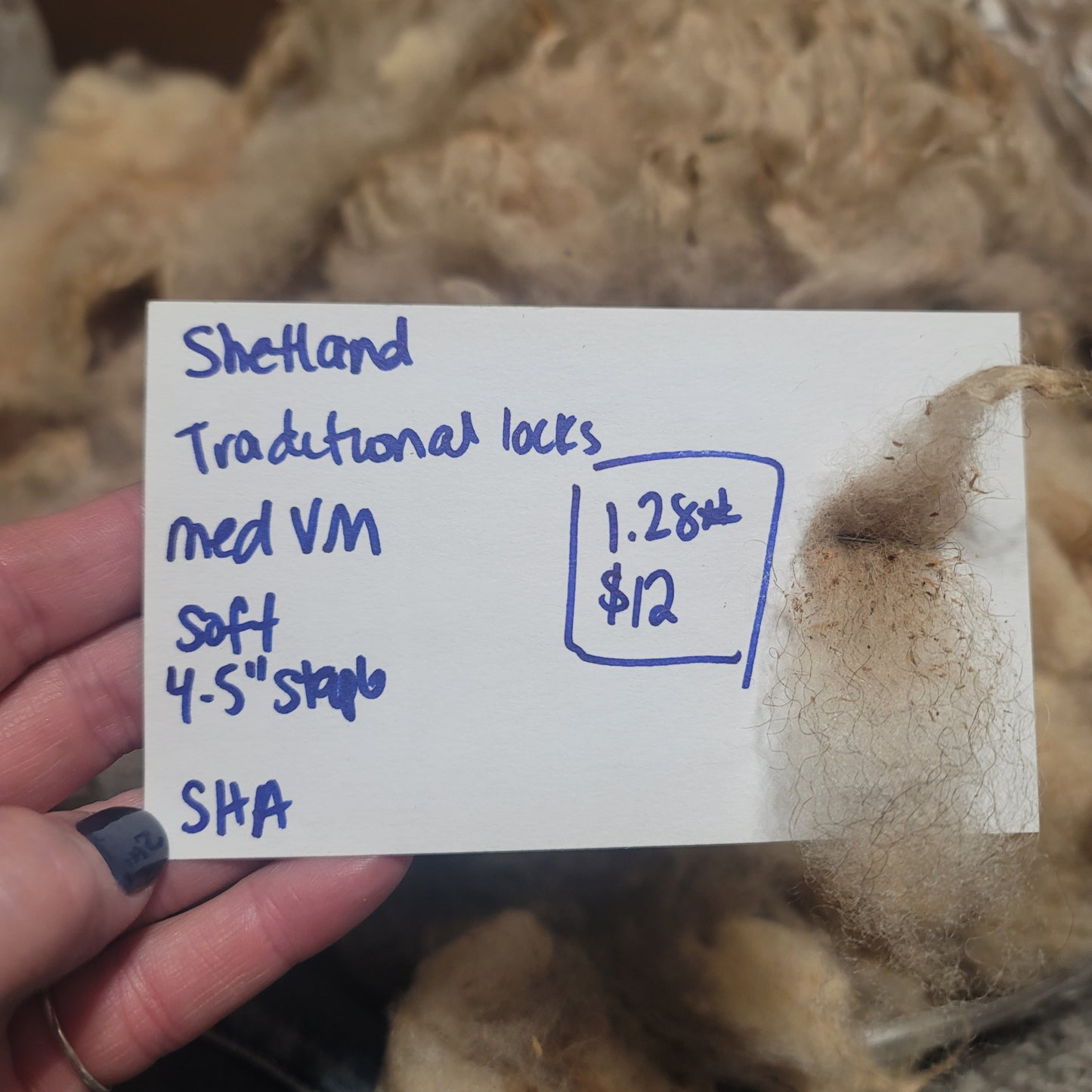 Shetland Raw Wool
