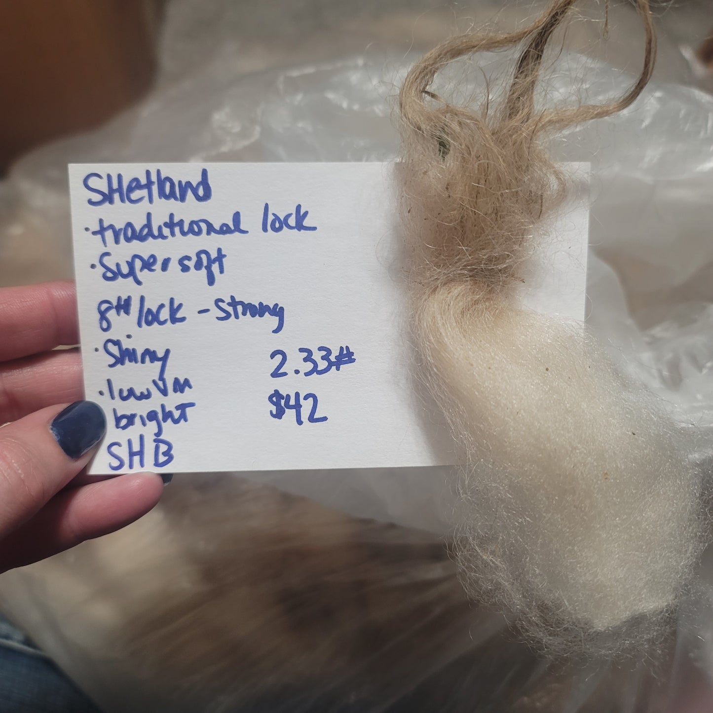 Shetland Raw Wool