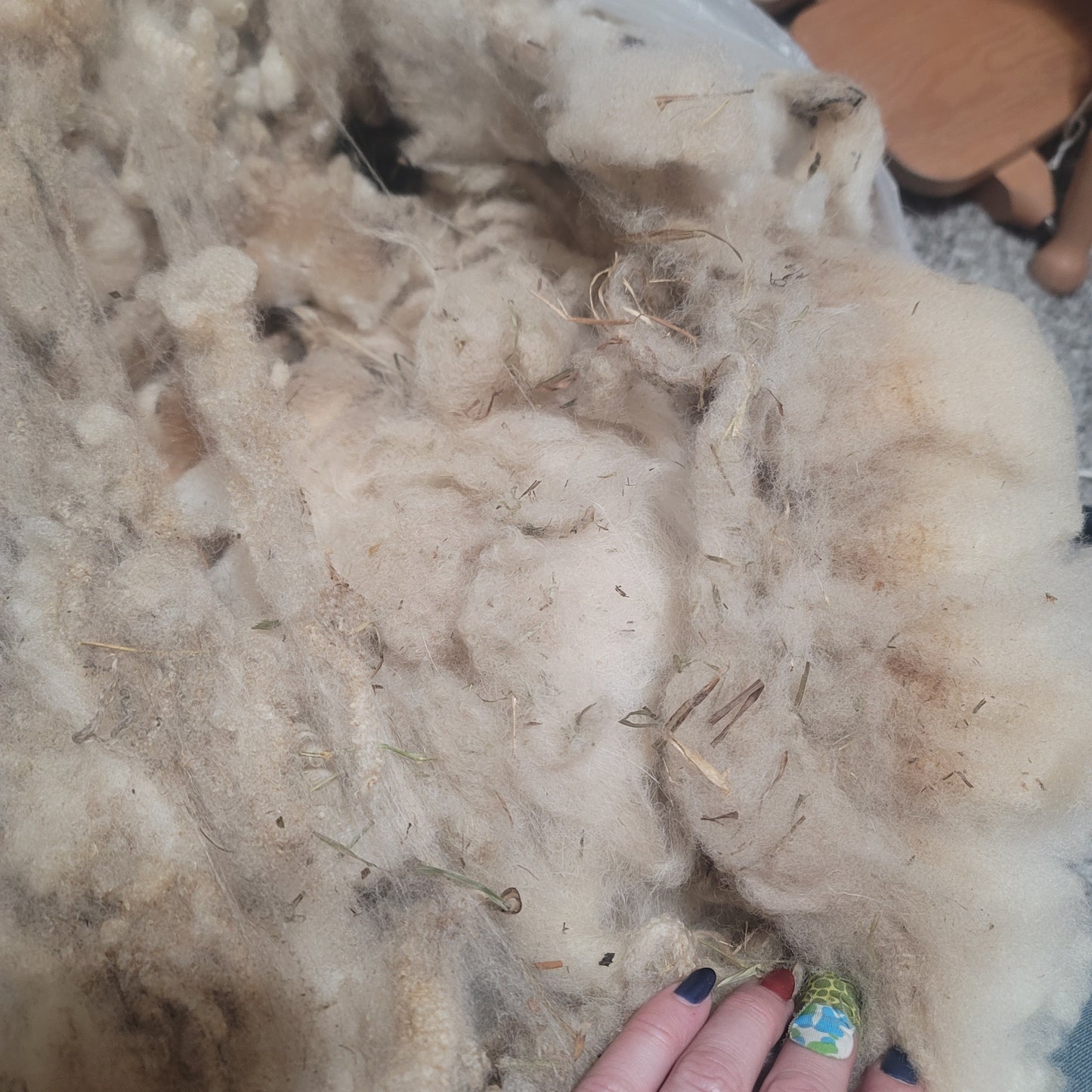 Shetland Raw Wool