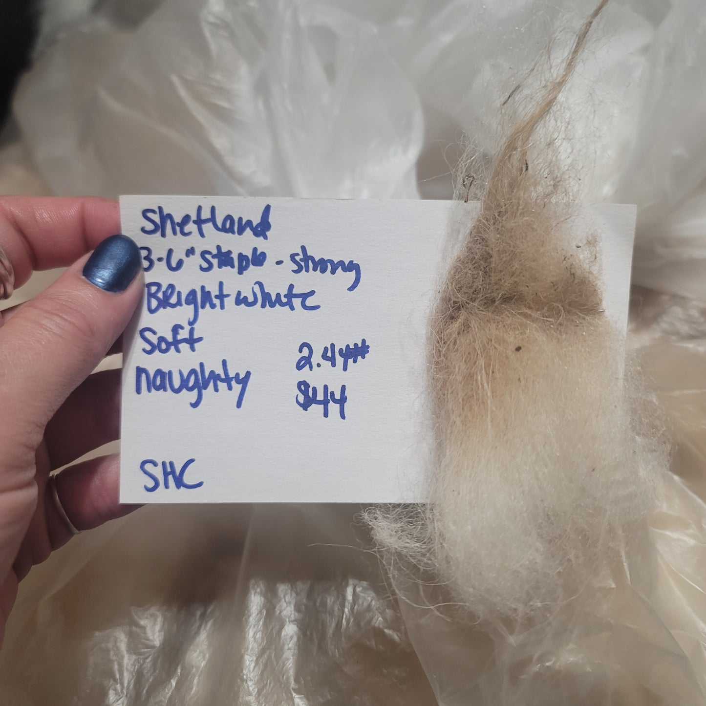 Shetland Raw Wool