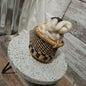 Gratitude Round Bolga Basket with Sari silk - F25