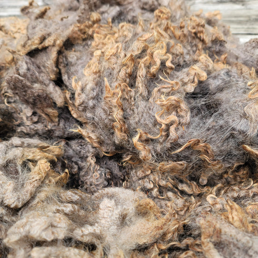 Border Leicester-CVM-Finn-Rambouillet Raw Wool