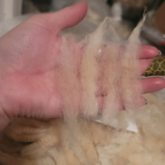 Clun Forest Cross Raw Wool