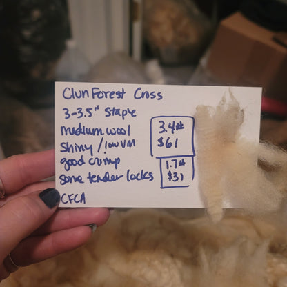 Clun Forest Cross Raw Wool