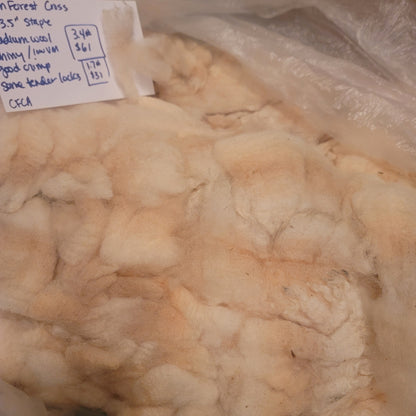 Clun Forest Cross Raw Wool