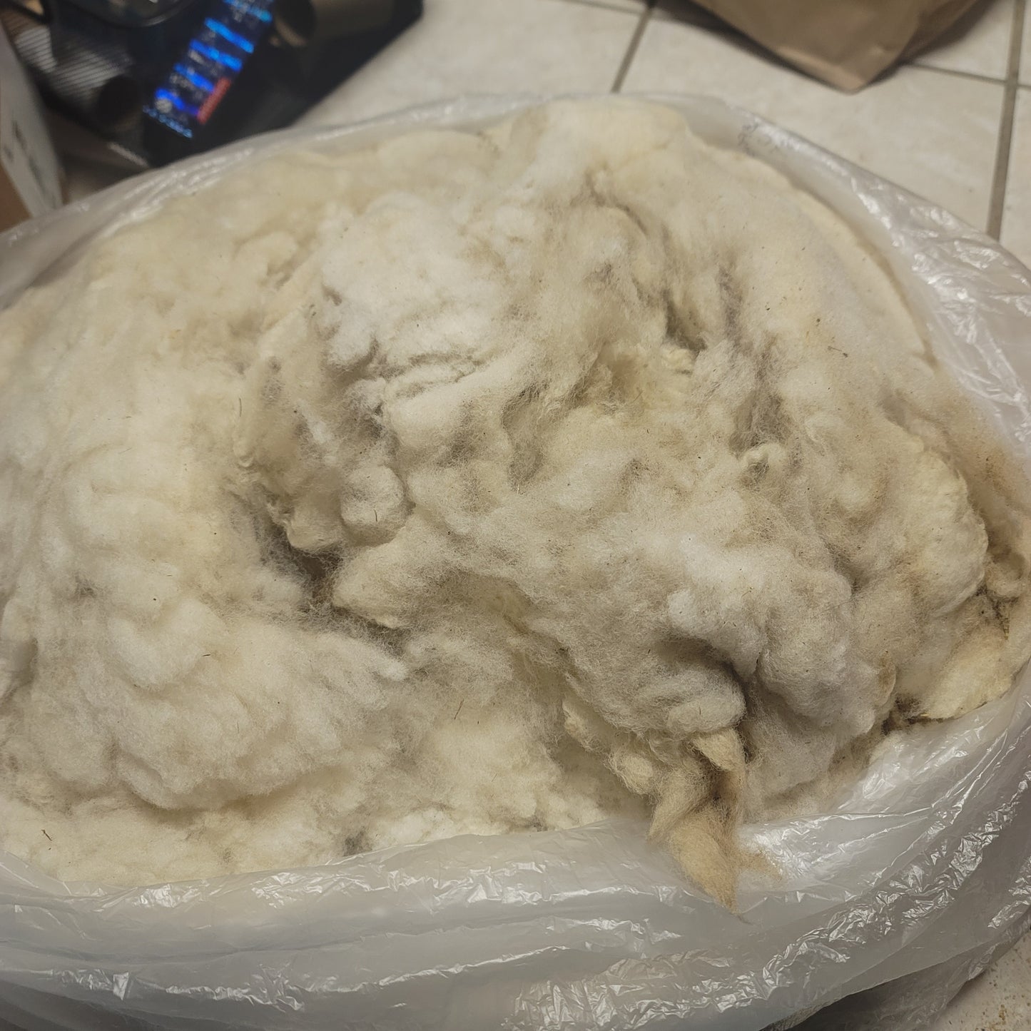 Clun Forest Raw Wool