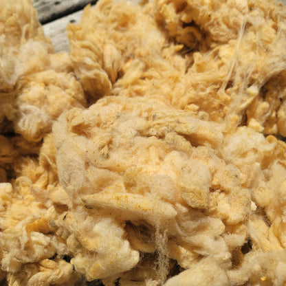 Florida Cracker Raw Wool