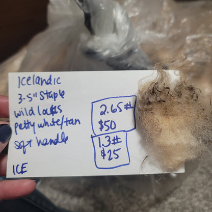 Icelandic Raw Wool