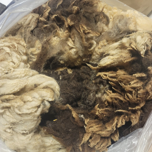 Jacob Raw Wool
