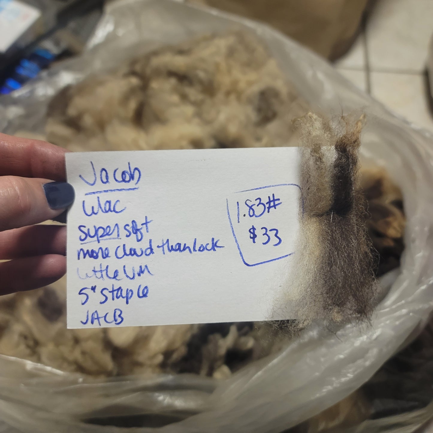 Jacob Raw Wool
