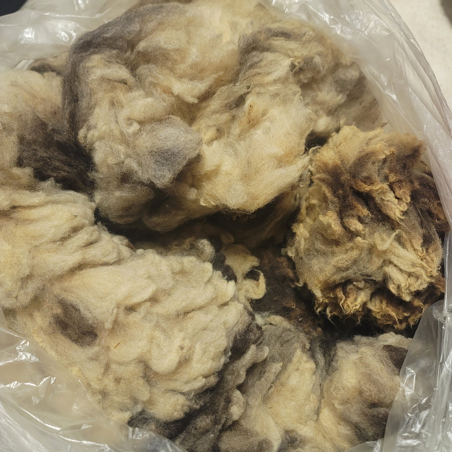 Jacob Raw Wool
