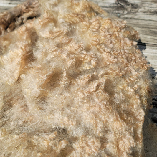 Lincoln Longwool Raw Wool