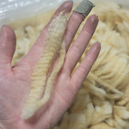 Perendale Raw Wool