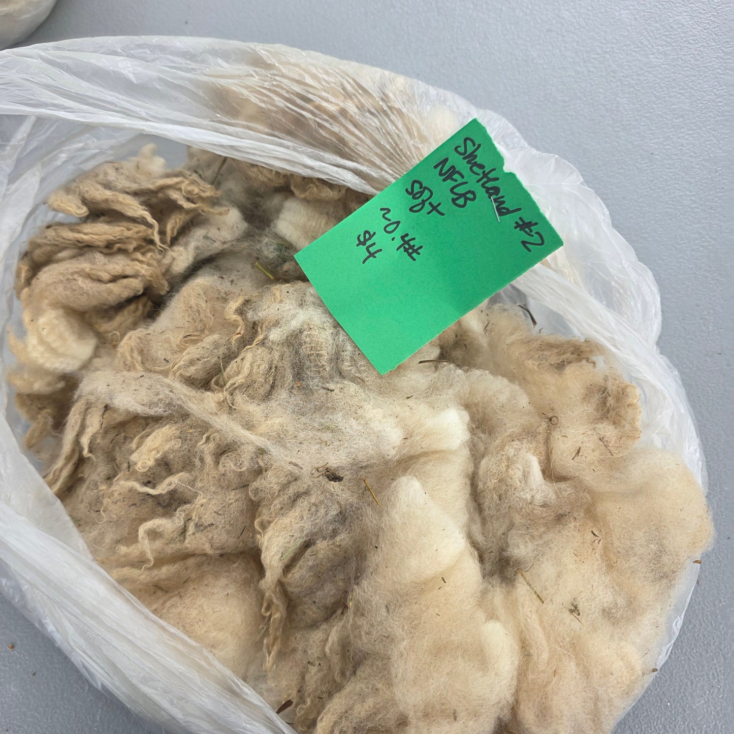 Shetland Raw Wool Fleece #2