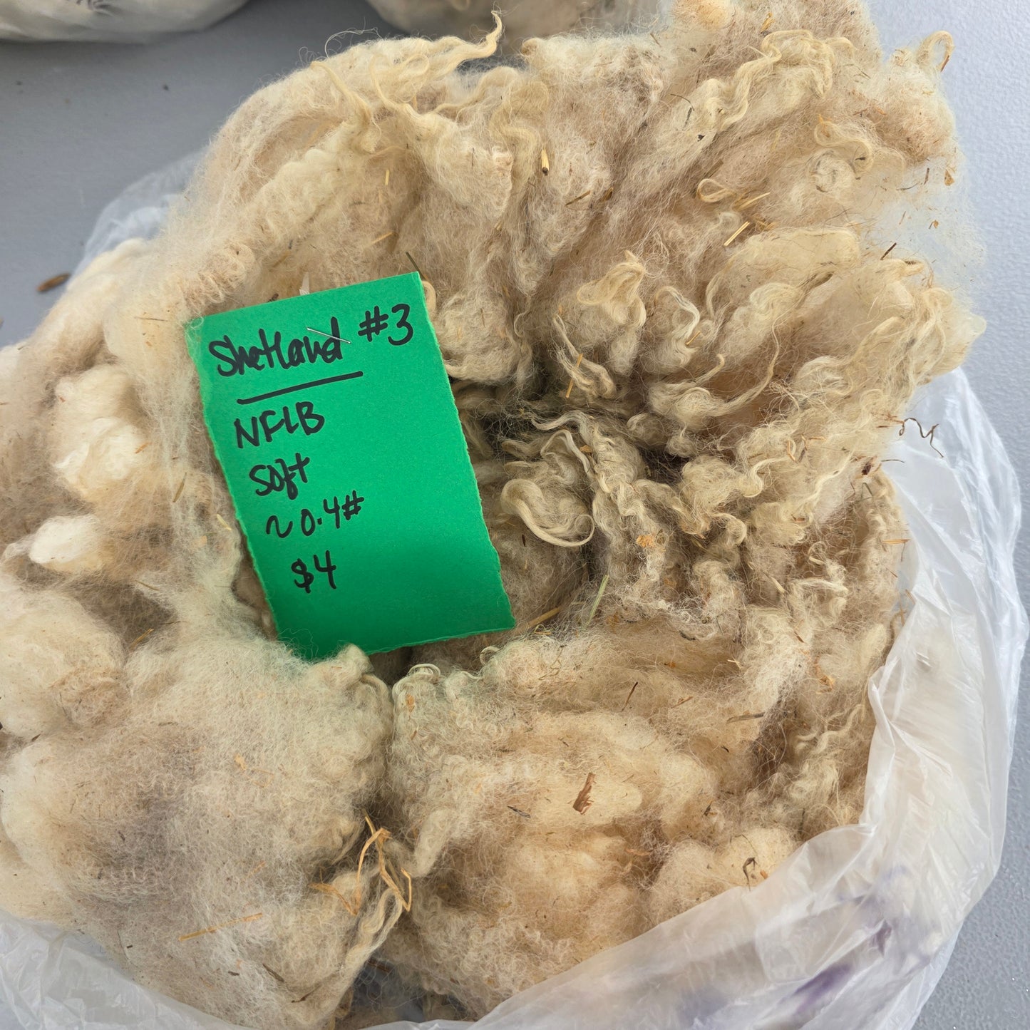 Shetland Raw Wool Fleece #3