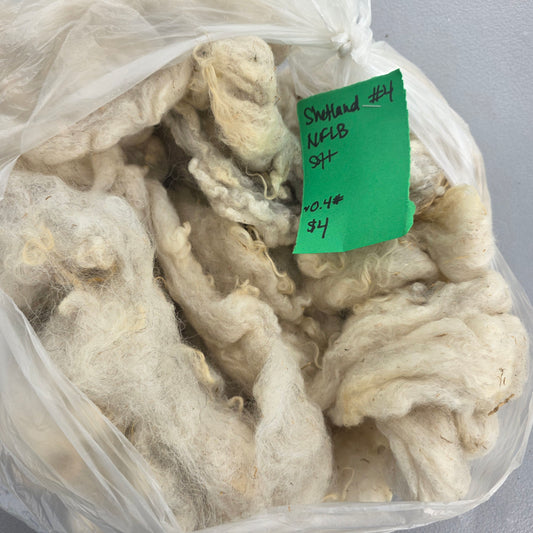Shetland Raw Wool Fleece #4