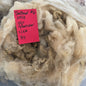 Shetland Raw Wool Fleece #6