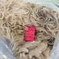 Navajo-Churro Raw Wool Fleece #10