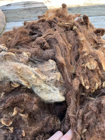 Romney Raw Wool