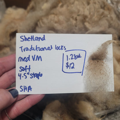 Shetland Raw Wool