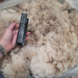 Shetland Raw Wool