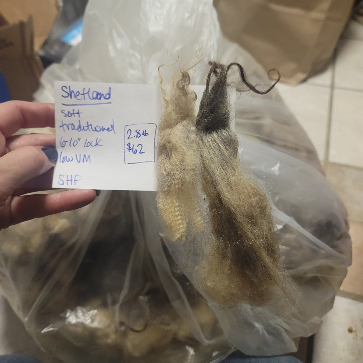 Shetland Raw Wool